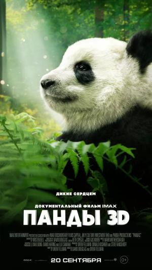 Постер фильма Панды