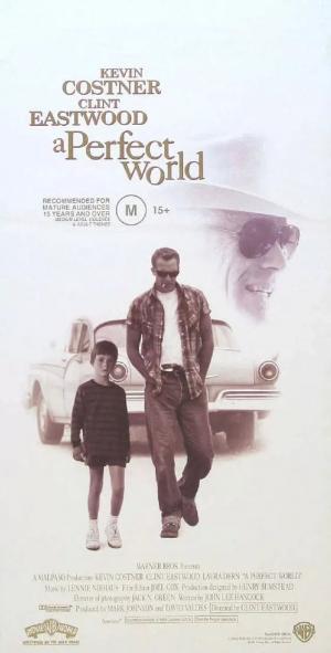 Постер фильма Совершенный мир