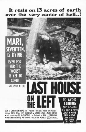 Постер фильма Последний дом слева