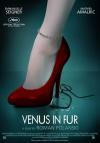 Фильм Венера в мехах смотреть онлайн в FULL HD