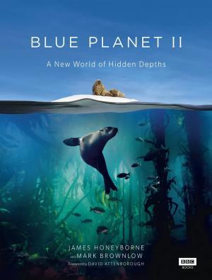 Постер фильма Голубая планета 2 1 сезон